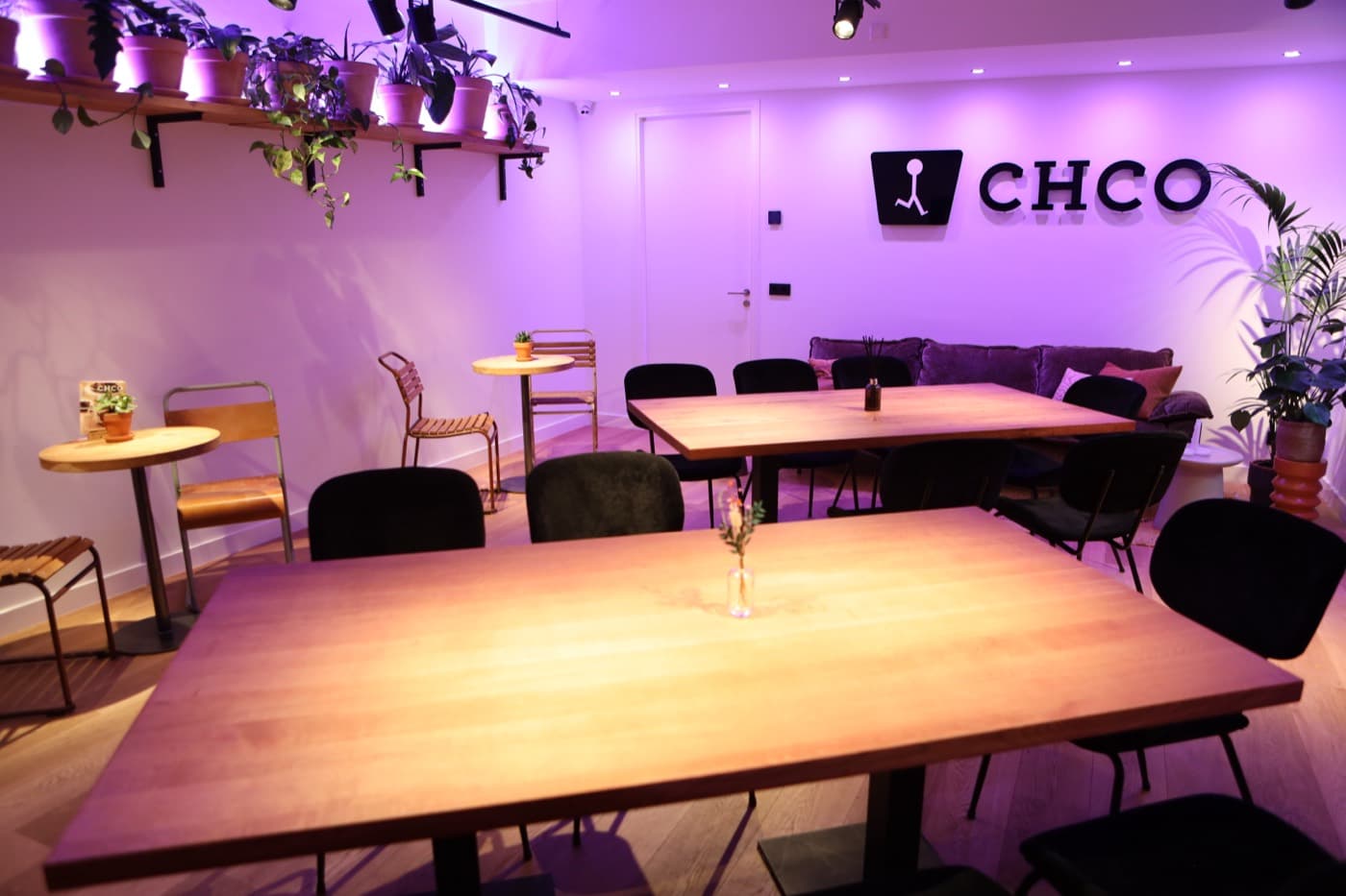 Loungehoek met plantenschap in paarse sfeerverlichting